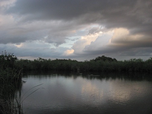 Approaching sunset at the Anhinga Trail.