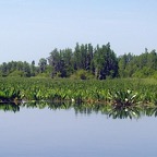 IMG_0479rt72